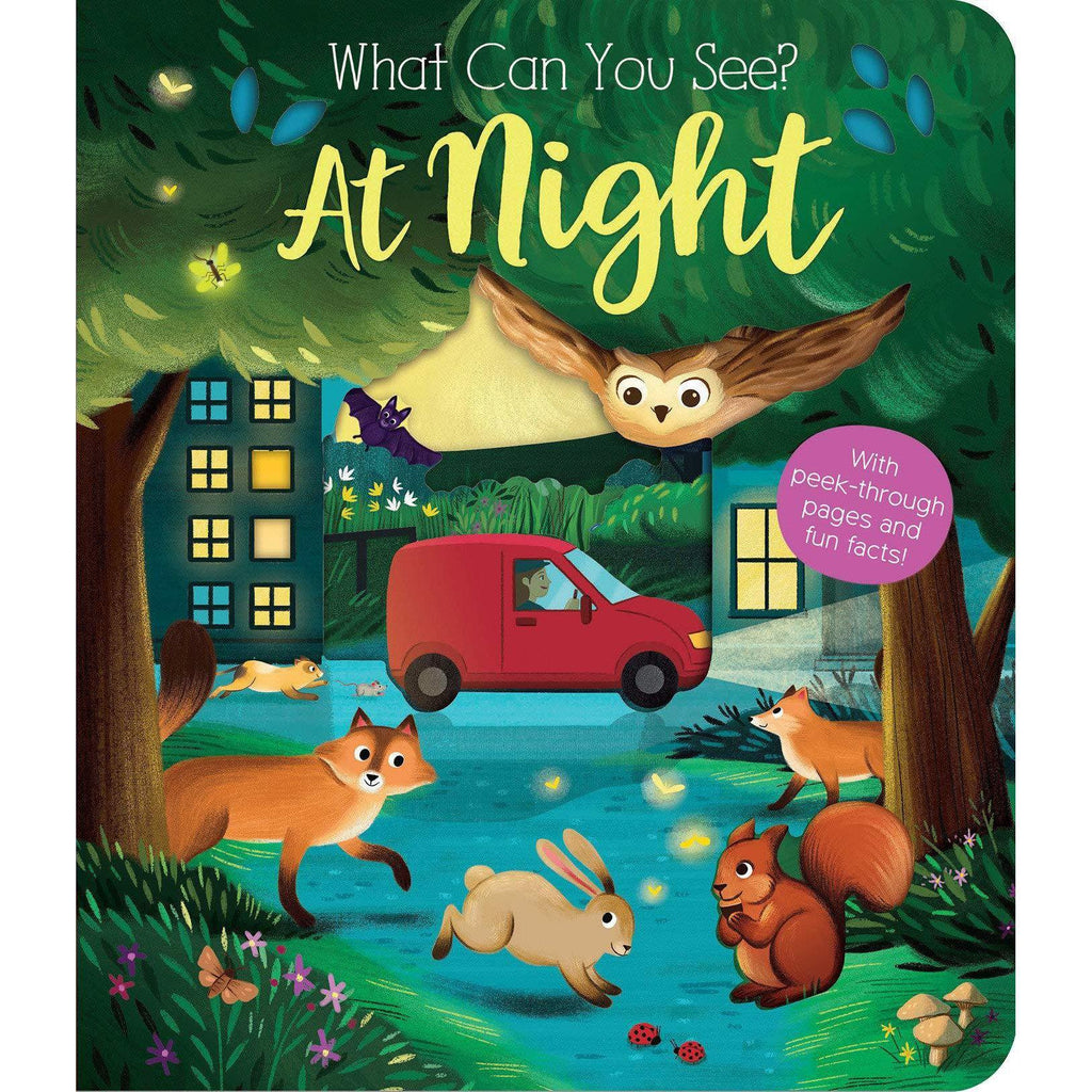 What Can You See? At Night-Books-Posh Baby