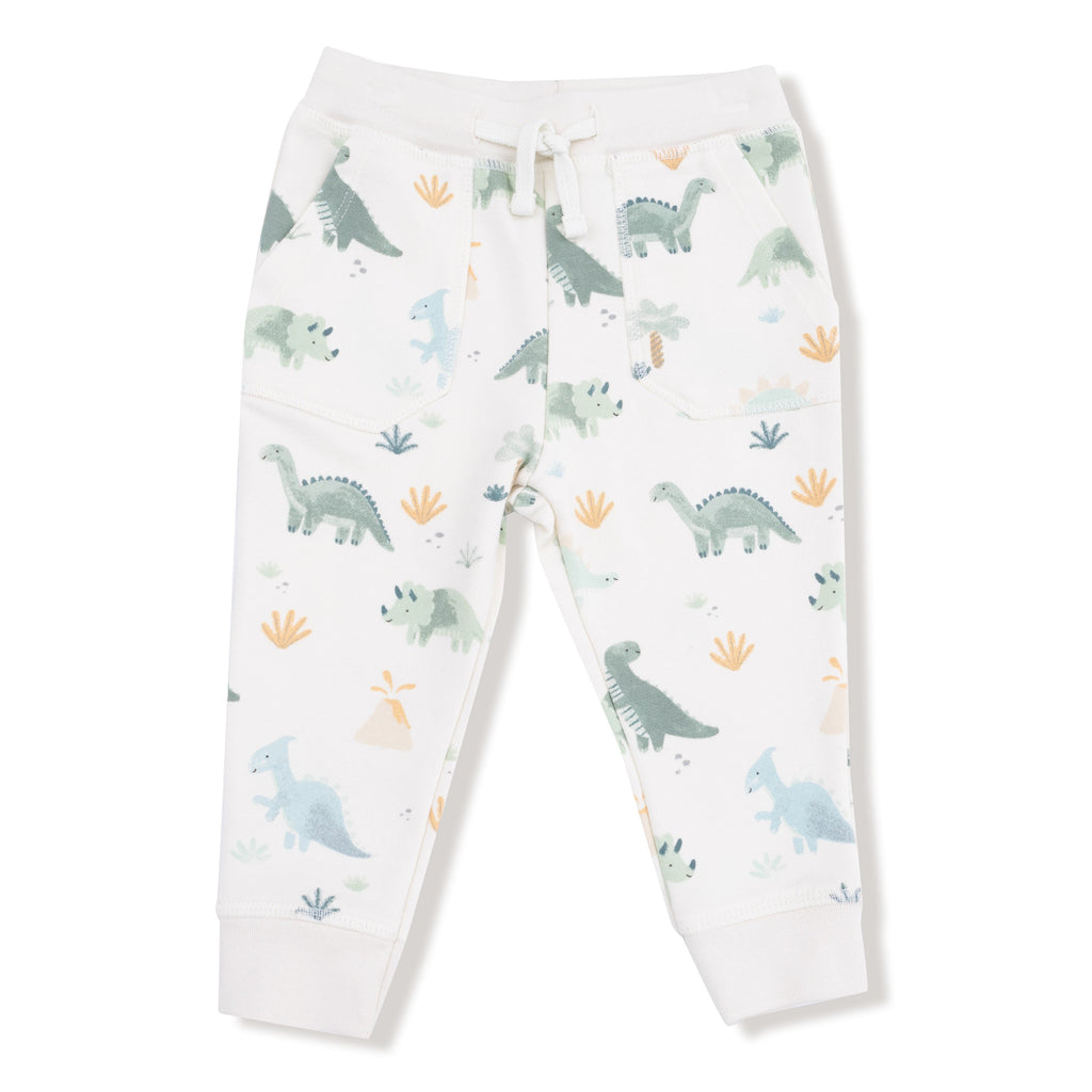 Angel Dear - French Terry Raglan Sweatshirt + Jogger Set - Soft Dinos-Sets-6-12M-Posh Baby