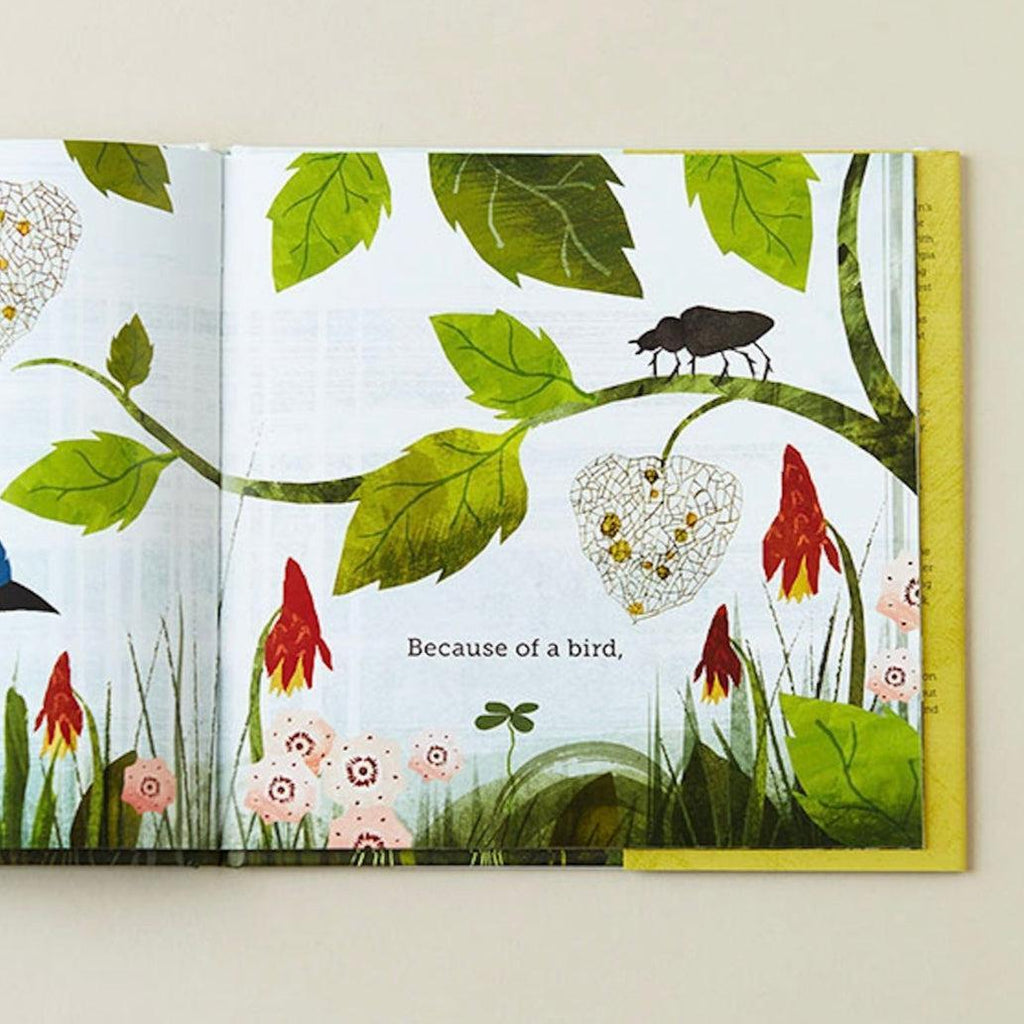 Because of An Acorn-Books-Posh Baby