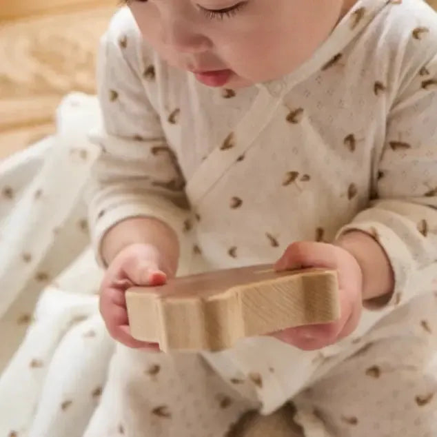 Elegant Baby - Organic Pointelle Take Me Home Set - Forest Mushroom-Sets-Preemie-Posh Baby