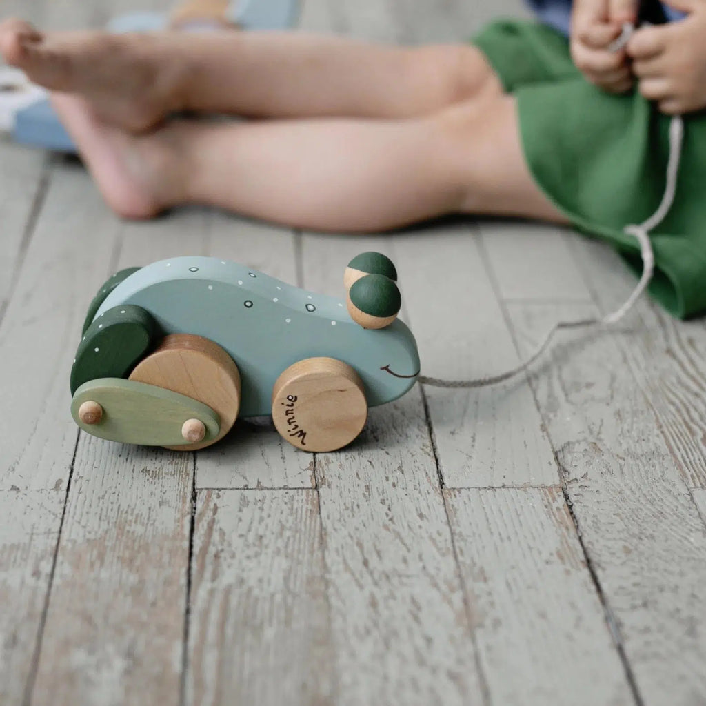 Friendly Toys - Handcrafted Pull Toy - Frog-Interactive-Posh Baby