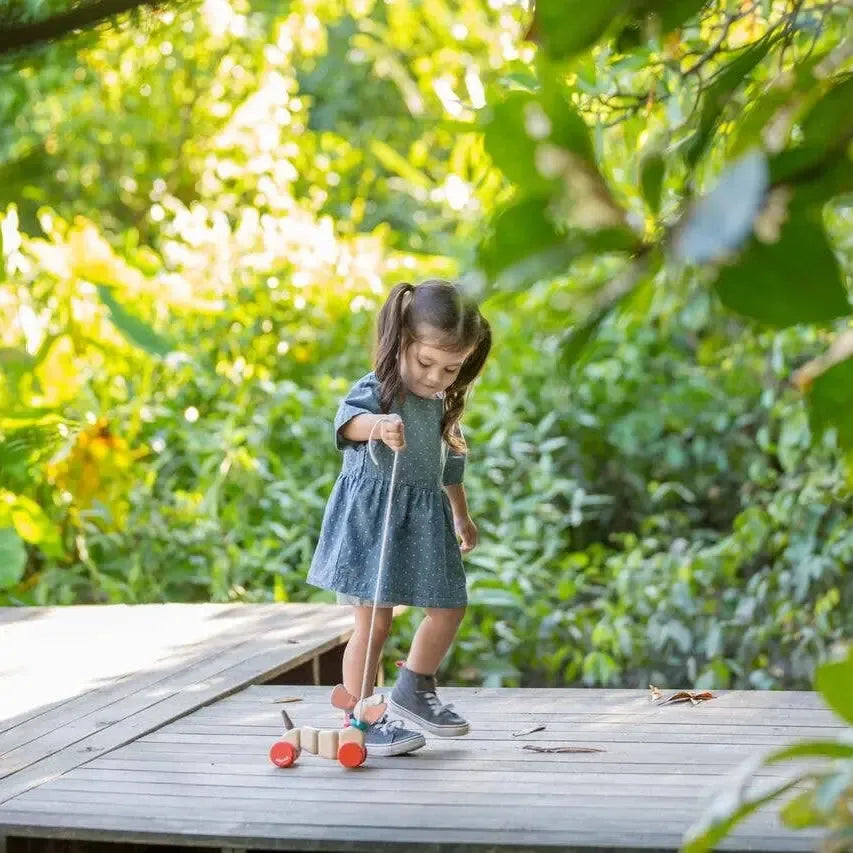 PlanToys - Pull Along Puppy-Posh Baby