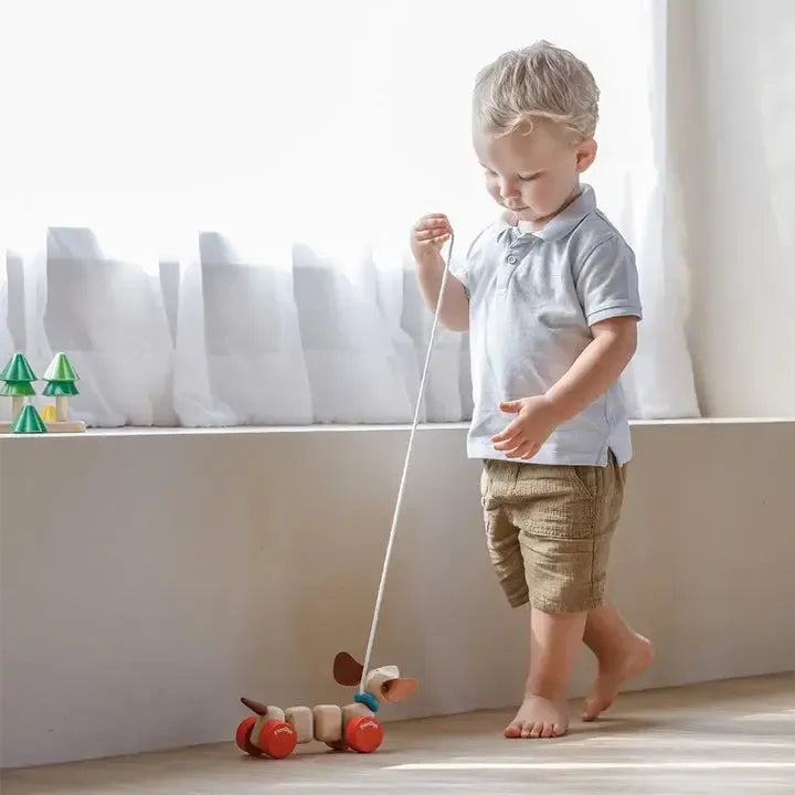 PlanToys - Pull Along Puppy-Posh Baby