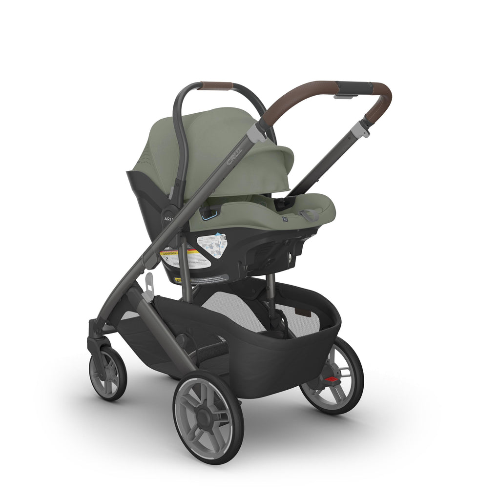 UPPAbaby - Cruz Stroller V3 - Evelyn-Full Size Strollers-Posh Baby